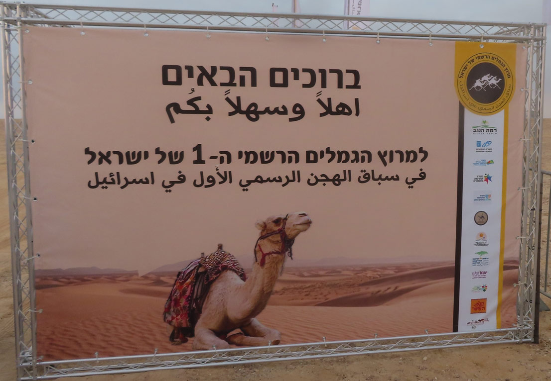 אירוע מרוץ גמלים הראשון בישראל